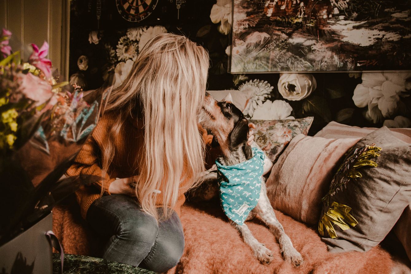 The Reality of Adopting a Dog From Abroad Desktop Hero