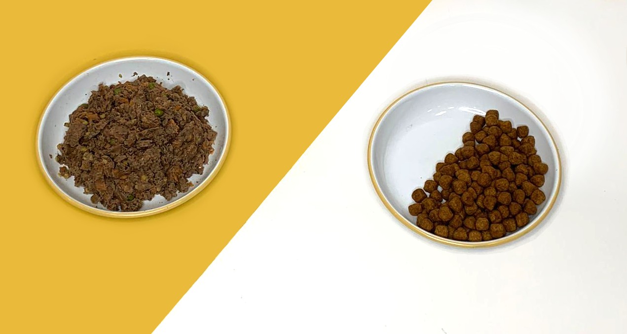 500 kcal: Butternut Box vs Kibble  